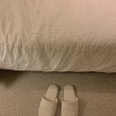 원아워세탁 | 소비기록 📦 : 오프아워 시나몬뮤즈 피치 플러프 긴팔 잠옷 세트 🛏️