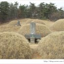 가족천하 이미지