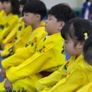 국가대표 태권 스포츠 이미지