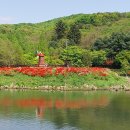 분당-318 이미지