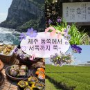 제주리시온 관광호텔 | [제주] 2일차 | 하루종일 먹고 마시고 관광한 여행기 (기름떡, 통귤모찌, 오설록 말차 오프레도 등)