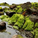 고대도1 이미지