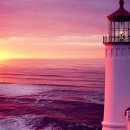 오늘도PC 이미지