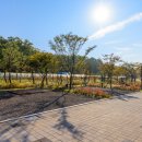 하기숲 캠핑장 이미지