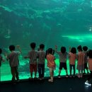 동패유치원 이미지