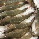 석호수산식당 이미지