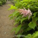 바우길 1구간 이미지