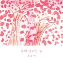 꽃비내리는숲