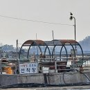 어시장길 24-5 Daum카페