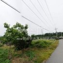 new탑공인중개사사무소 이미지