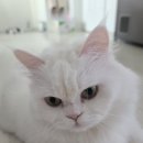 우솔동물병원 이미지