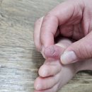 곽준석의원 이미지