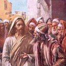 존재의 무게 이미지