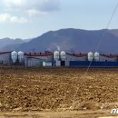 상권축사 이미지