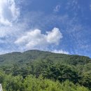 청도작은도서관 | 🏕 청도 브리즈힐 캠핑장 2박 3일 가족 캠핑 후기(8.27~8.29)