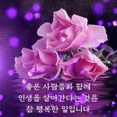 멋진인생