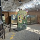 이월드 | ​🌸 [대구여행] 2026 이월드 벚꽃 축제 실시간 후기