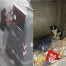 청소년센터_앞_CCTV1 이미지