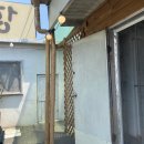 쌍용주유소 화장실 이미지