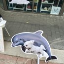 와이케이환경 이미지