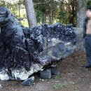 대포포구1 이미지