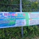 법인치유락