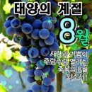 사랑과 기쁨 이미지