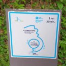 저지오름 이미지