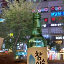248갈매기
