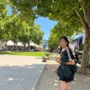 고지바위권역장군마을 | 1월 이야기(7) / 신혼여행 3편_멜버른(1/21-1/24)