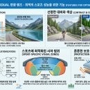 역, 서초동, 역삼동, 양재동] 여름 필수 선글라스, ZEISS 스포츠인디비주얼 편광 렌즈 완벽 분석 가이드