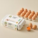 카우 | 집에서 먹는 초간단 육회 레시피 추천 및 내돈내산 카우스토리 후기(+상하 계란)