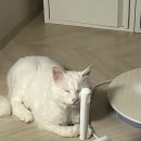 도양헬스 이미지