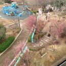 (사)서곡생태마을 | 울산 아이랑 가볼만한곳 추천 장생포 고래문화마을 생태박물관 내돈내산 (feat.모노레일 고래빵)