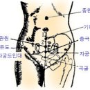 경혈(혈자리) : 뜸자리 이미지