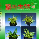 제7회 한국춘란엽예품전시회 이미지