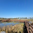 고천암자연생태공원(실내) 이미지