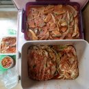 대구이용소 Daum카페