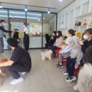 예준애견미용학원