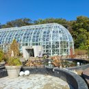 왕십리제2동주민센터 어린이쉼터 | 포천 국립수목원 광릉수목원 뚜벅이 대중교통 가는법 지도 버스시간표 노선도