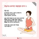 배꼽 Daum카페