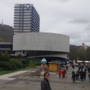 비바리올