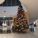 제54회 정기연주회 | [경주시립합창단] 제54회 정기연주회 겨울지나 봄이 오듯이 경주예술의 전당