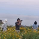 섭지코지&amp;성산일출봉~26/6월10일~~♡ 이미지
