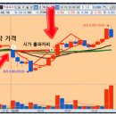(주)엑셀바이오 이미지
