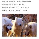 양키캔들경주점 | 뒤죽박죽 와루르 써보는 나의 일상(∿ ՞ਉ ՞)∿개ㅐㅐ긴글주의!