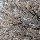 드래곤 복싱클럽 이미지