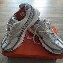 주야장창 | [나이키 이니시에이터 우먼스 밍크브라운] 여성용 가성비 러닝화 추천 내돈내산 후기