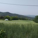 밀밭농장 이미지