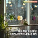 양재시민의숲역 1번출구 | 벚꽃 피면 더 난리 날 루프탑 명소 <여의천 소원카페>